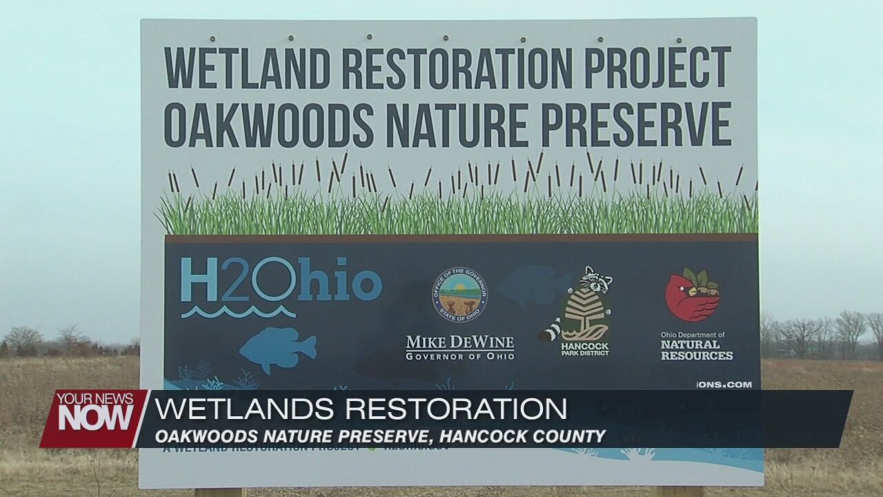 New wetlands will improve water and wildlife habitats in Hancock County